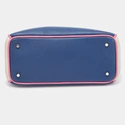 Pre Owned Dior Tricolor Leather Mini Diorissimo Bag