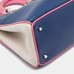 Pre Owned Dior Tricolor Leather Mini Diorissimo Bag