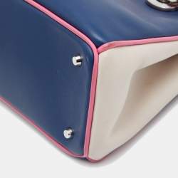 Pre Owned Dior Tricolor Leather Mini Diorissimo Bag