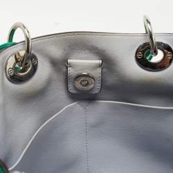 Pre Owned Dior Green Leather Large Diorissimo Shopper Tote