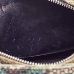 Pre Owned Dior Green/Beige Python and Sequin Medium Lady Dior Tote