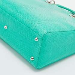 Pre Owned Dior Green Python Large Lady Dior Tote
