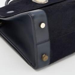 Pre Owned Dior Navy Blue/Brown Leather and Calf Hair Medium Diorever Tote