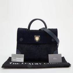 Pre Owned Dior Navy Blue/Brown Leather and Calf Hair Medium Diorever Tote