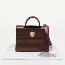 Pre Owned Dior Bronze Leather Medium Diorever Bag
