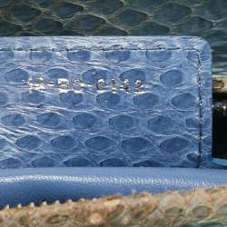 Pre Owned Dior Blue Python Medium Lady Dior Tote