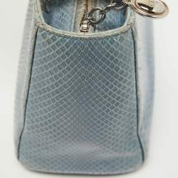 Pre Owned Dior Blue Python Medium Lady Dior Tote