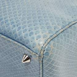 Pre Owned Dior Blue Python Medium Lady Dior Tote