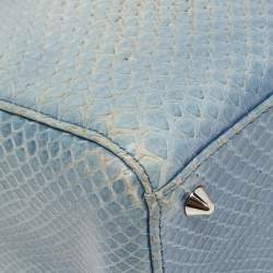 Pre Owned Dior Blue Python Medium Lady Dior Tote