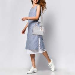 Pre Owned Dior Grey Cannage Embroidered Canvas Medium Lady D-Lite Tote