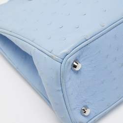 Pre Owned Dior Light Blue Ostrich Large Lady Dior Tote