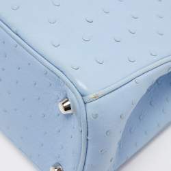 Pre Owned Dior Light Blue Ostrich Large Lady Dior Tote