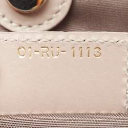 Pre Owned Dior Metallic Grey Coated Canvas Small Panarea Tote