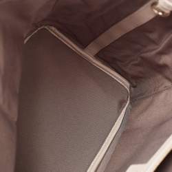 Pre Owned Dior Metallic Grey Coated Canvas Small Panarea Tote