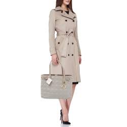 Pre Owned Dior Metallic Grey Coated Canvas Small Panarea Tote