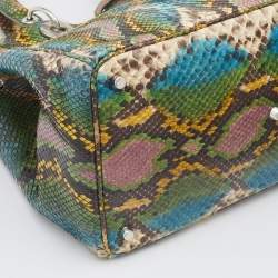 Pre Owned Dior Multicolor Python Medium Diorissimo Shopper Tote