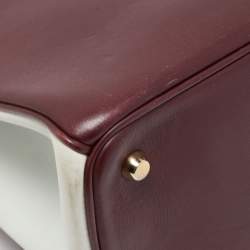 Dior Tricolor Leather Large Diorissimo Shopper Tote