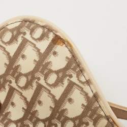 Dior Beige Oblique Canvas and Leather Floral Embroidered Saddle Bag