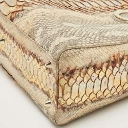 مملوكة مسبقًا Dior Gold/Beige Python Large Limited Edition Lady Dior Tote
