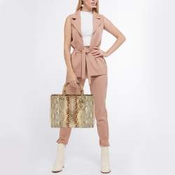 مملوكة مسبقًا Dior Gold/Beige Python Large Limited Edition Lady Dior Tote