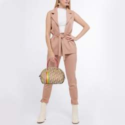 Pre Owned Dior Multicolor Oblique Canvas and Leather Trotter Rasta Bowler Bag