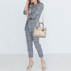 Pre Owned Dior Multicolor Stripe Embroidered Canvas Medium Lady D-Lite Tote