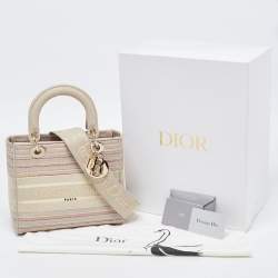 Pre Owned Dior Multicolor Stripe Embroidered Canvas Medium Lady D-Lite Tote