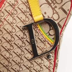 Pre Owned Dior Multicolor Oblique Canvas and Leather Rasta Trotter Saddle Bag
