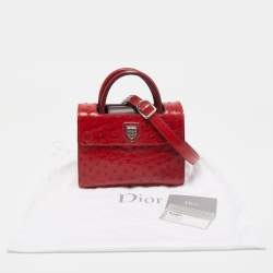 Pre Owned Dior Red Ostrich Small Diorever Tote