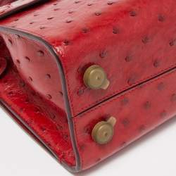 Pre Owned Dior Red Ostrich Small Diorever Tote
