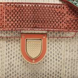 Pre Owned Dior Multicolor Watersnake Leather Mini Diorever Top Handle Bag