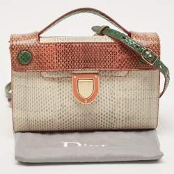 Pre Owned Dior Multicolor Watersnake Leather Mini Diorever Top Handle Bag