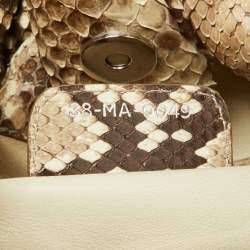 Pre Owned Dior Beige Python Le Trente Shoulder Bag
