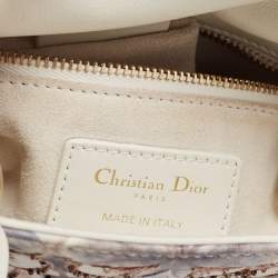 Dior Multicolor Embroidered Leather KaleiDiorscopic Mini Lady Dior Tote