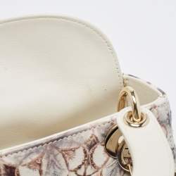 Dior Multicolor Embroidered Leather KaleiDiorscopic Mini Lady Dior Tote