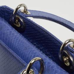 Pre Owned Dior Blue Python Mini Lady Dior Tote