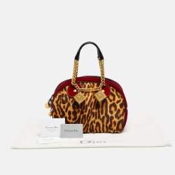 Pre Owned Dior Multicolor Leopard Print Calfhair, Velvet and Patent Leather Gambler Dice Bag
