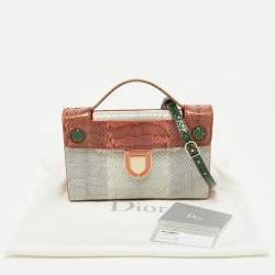 Pre Owned Dior Multicolor Watersnake Leather Mini Diorever Top Handle Bag