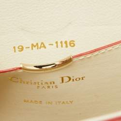 Pre Owned Dior Multicolor Watersnake Leather Mini Diorever Top Handle Bag