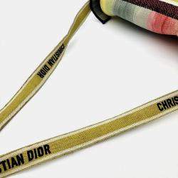 Pre Owned Christian Dior Multicolor Canvas Embroidered Dioraura Messenger