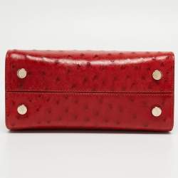 Dior Red Ostrich Mini Diorever Tote