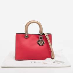 Pre Owned Dior Tricolor Leather Medium Diorissimo Tote