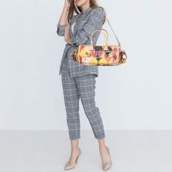 Pre Owned Dior Multicolor Printed Coated Canvas and Leather Argyle Bag