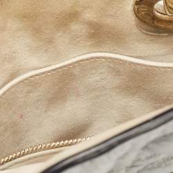 Pre Owned Dior Silver Cannage Leather Small Supple Lady Dior Tote