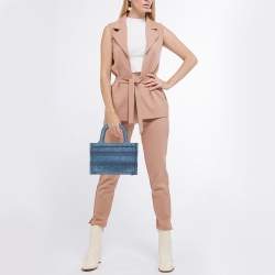 Pre Owned Dior Blue Oblique  Embroidered Denim Mini Book Tote