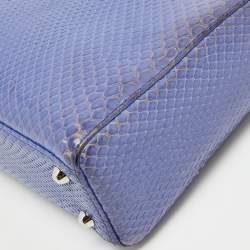 Pre Owned Dior Blue Snakeskin Mini Lady Dior Tote
