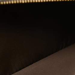 Pre Owned Dior Metallic Crackled Leather Miss Dior Promenade Chain Clutch