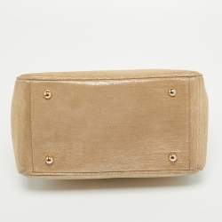 Pre Owned Dior Gold Metallic Suede Babe Vanity Top Handle Bag