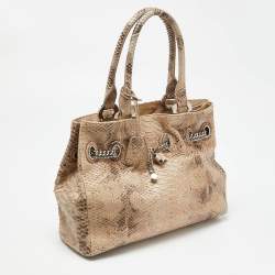Pre Owned Dior Beige Python Chri Chri Tote