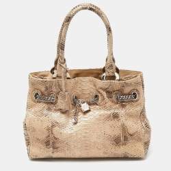Pre Owned Dior Beige Python Chri Chri Tote
